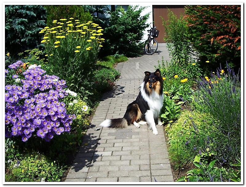 Remontehof´s Asset-SonJG_UPLOAD_IMAGENAME_SEPARATOR1